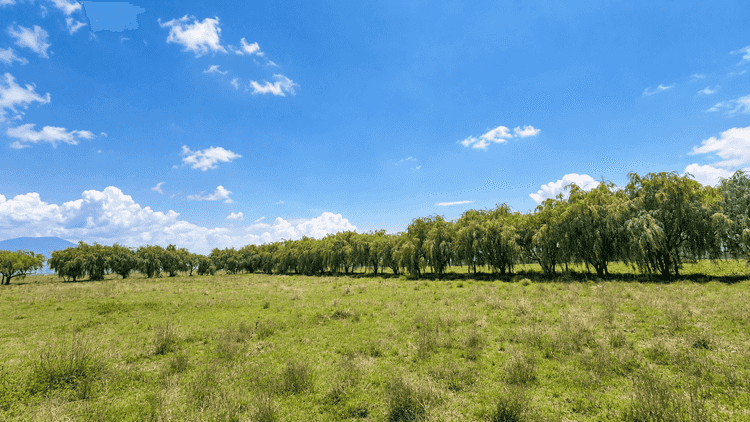 terreno en venta t c atlacomulco   morelia   san felipe del progreso la esperanza jocotitlan mexico p12W4ZW