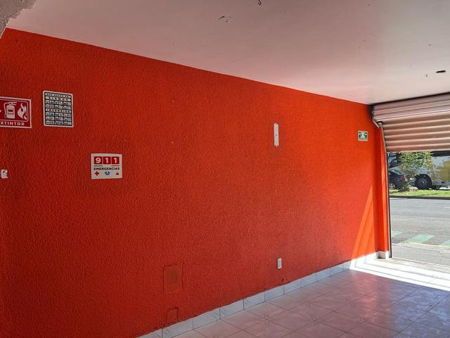 Foto de la galeria de imagenes
