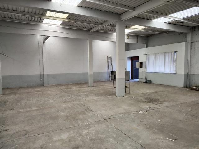 Foto de la galeria de imagenes